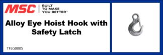 Alloy Eye Hoist Hook with Safety Latch