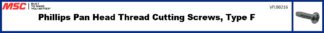 Phillips Pan Head Thread Cutting Screws, Type F