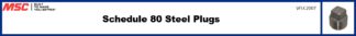 Schedule 80 Steel Plugs